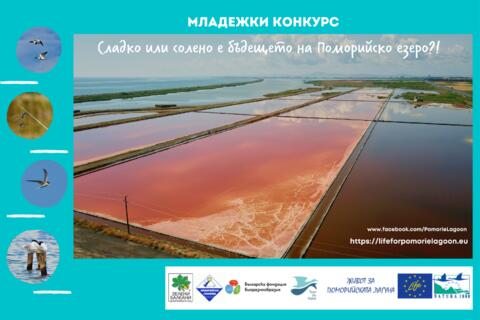 конкурс